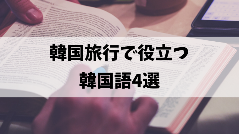 韓国旅行で役立つ覚えておいた方がいい韓国語4選 Ftm あきよしのブログ